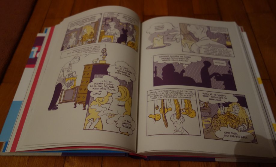 asterios-polyp-fibra-slika-86010393